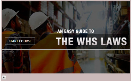 100_easy-guide-to-WHS