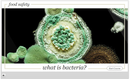 what-is-bacteria